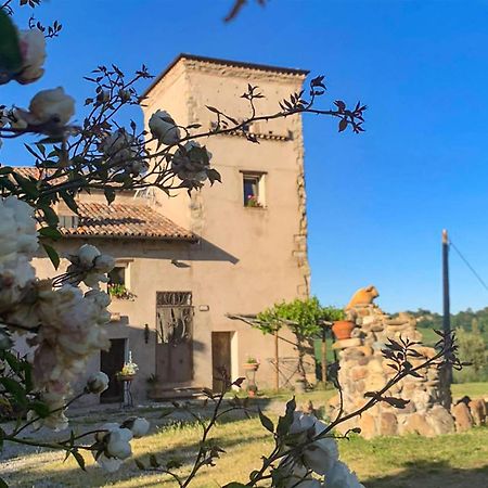 Soulful Holiday Home In Modena Wth Garden Екстер'єр фото